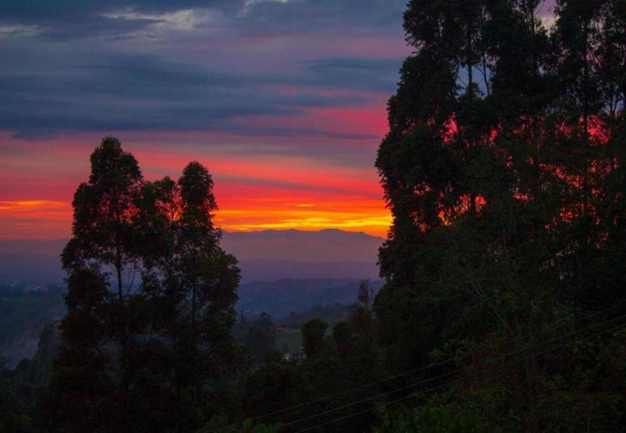 Hotel Natura Cocora Salento Dış mekan fotoğraf