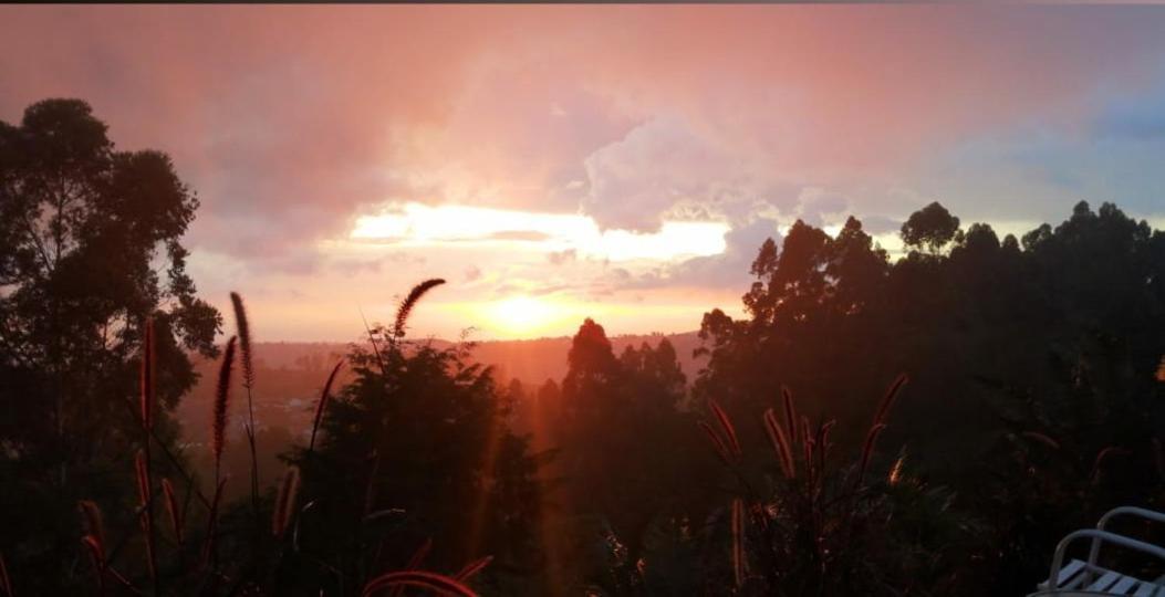 Hotel Natura Cocora Salento Dış mekan fotoğraf