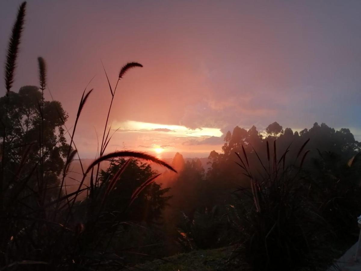 Hotel Natura Cocora Salento Dış mekan fotoğraf